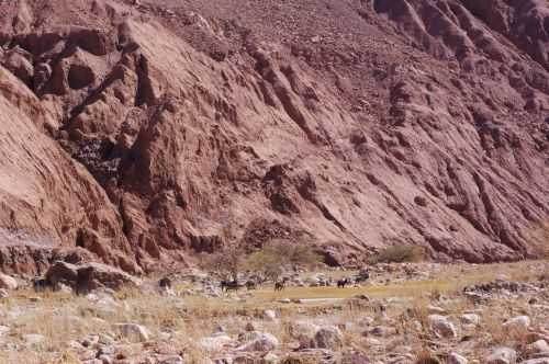 TREKKING NEL DESERTO DI ATACAMA 2015